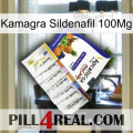 Kamagra Sildenafil 100Mg 11